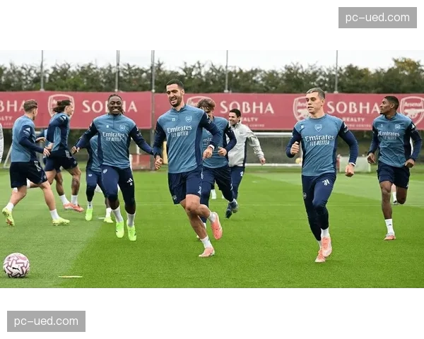 专栏：VAR判定富勒姆进球有效再次引发对“清晰明显错误”标准的质疑